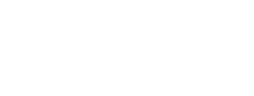 The Fundamentals